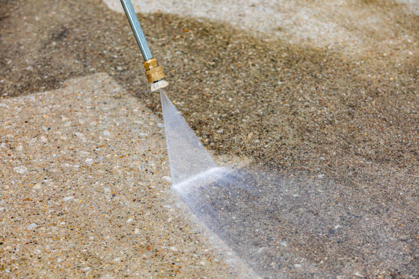 Best Gutter Cleaning  in Coal Fork, WV